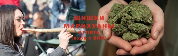 дживик Зеленокумск