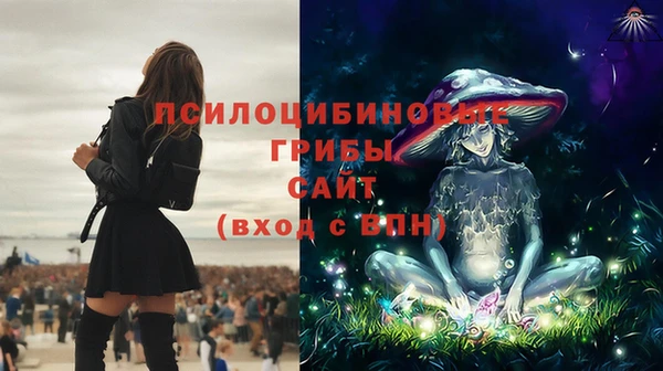 дживик Зеленокумск